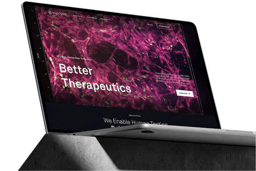 Website Design & Development