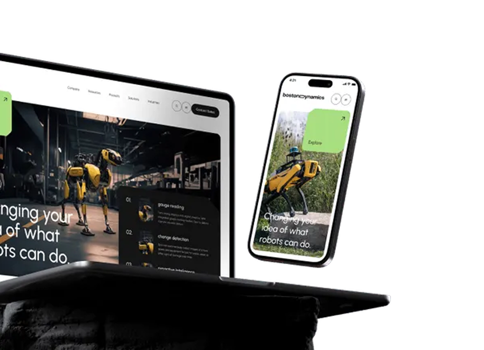 Ecommerce Solutions